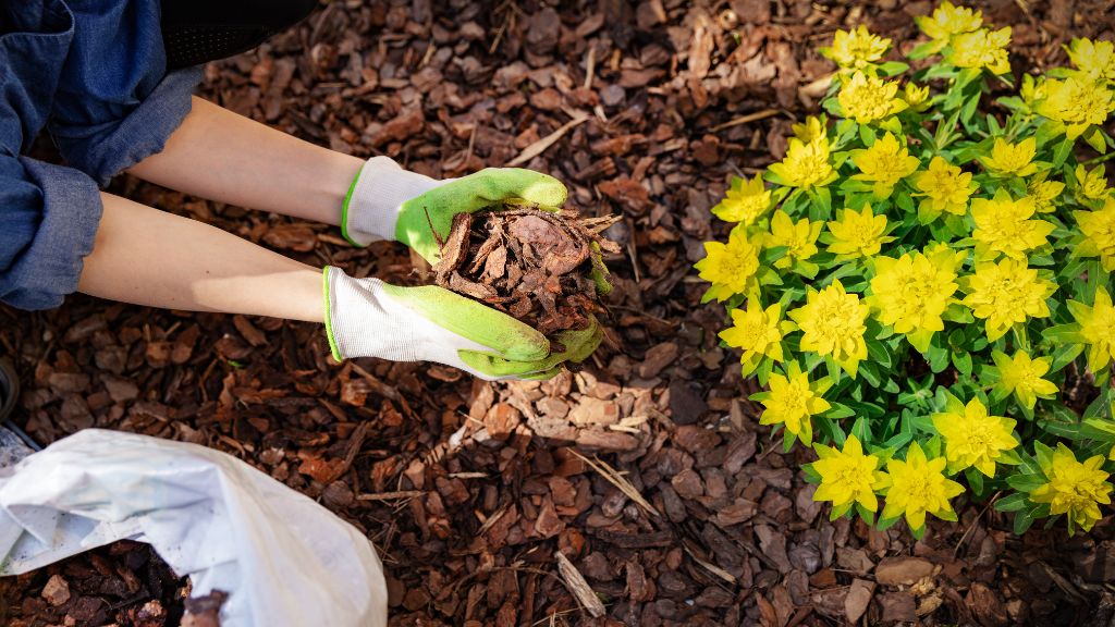 mulch-3.jpg
